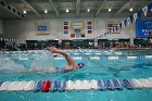 Swim vs Bentley  Wheaton College Swimming & Diving vs Bentley University. - Photo by Keith Nordstrom : Wheaton, Swimming & Diving